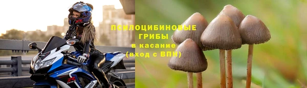 герыч Бородино